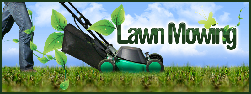 Gardener lawn mowing discount service