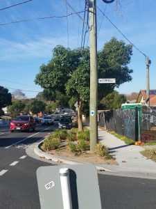 Lawn Mowing Oakleigh Job near Atherton Road