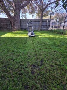 After lawn mowing and edging in Oakleigh South