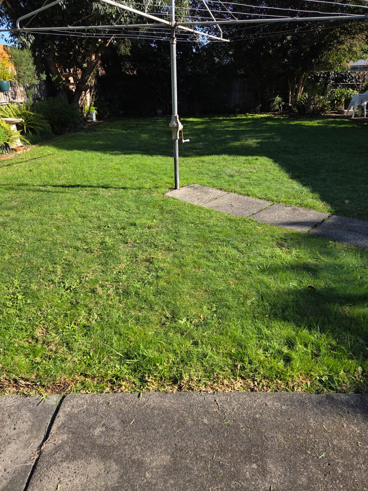 Before lawn mowing and edging in Oakleigh South