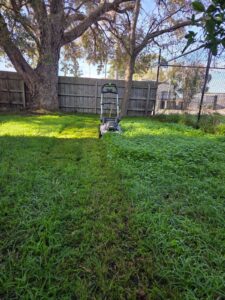 Before lawn mowing and edging in Oakleigh South