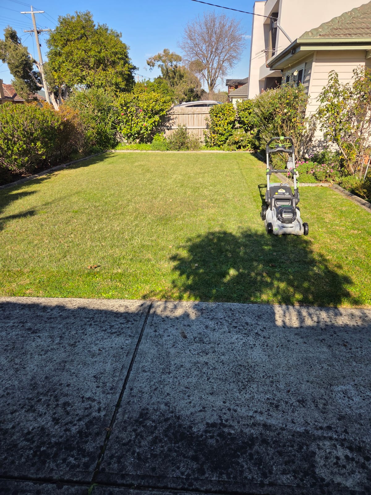 Before lawn mowing and edging in Oakleigh South