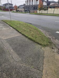 After lawn mowing and edging in Clayton South